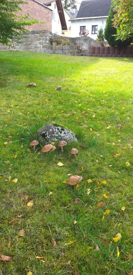 Rekreacni Dum Pohoda Jiřetín pod Jedlovou Bagian luar foto